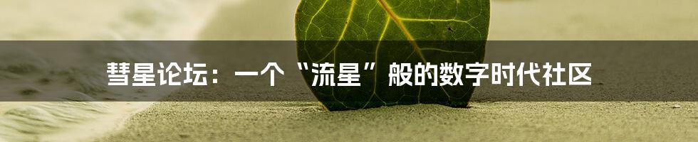 彗星论坛：一个“流星”般的数字时代社区
