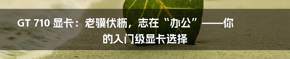 GT 710 显卡：老骥伏枥，志在“办公”——你的入门级显卡选择