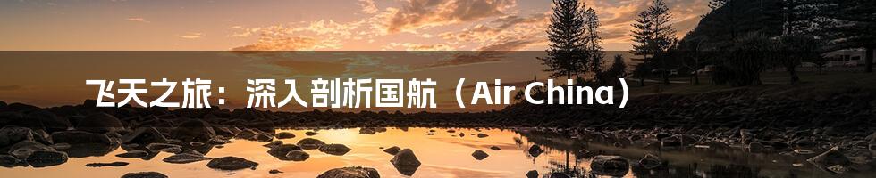 飞天之旅:深入剖析国航(Air China)