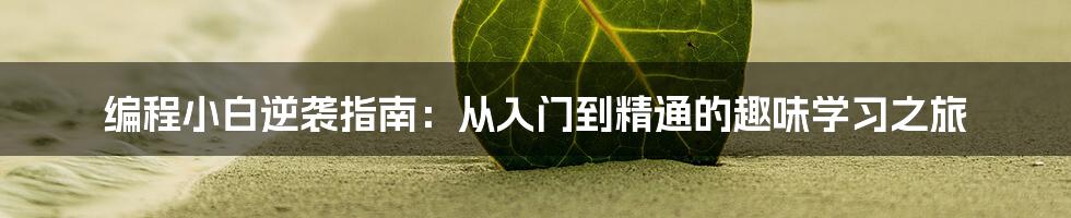 编程小白逆袭指南:从入门到精通的趣味学习之旅