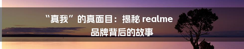 “真我”的真面目:揭秘 realme 品牌背后的故事