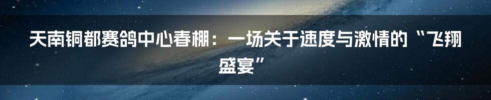 天南铜都赛鸽中心春棚：一场关于速度与激情的“飞翔盛宴”