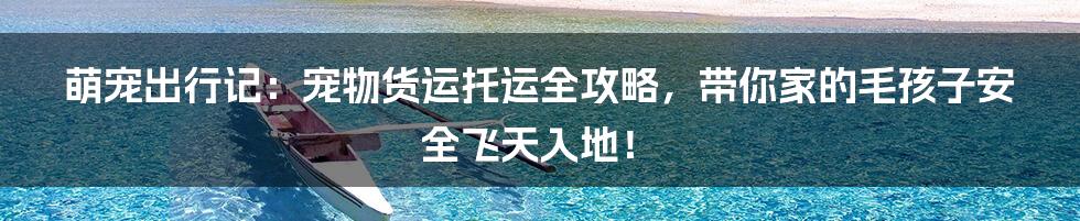 萌宠出行记：宠物货运托运全攻略，带你家的毛孩子安全飞天入地！