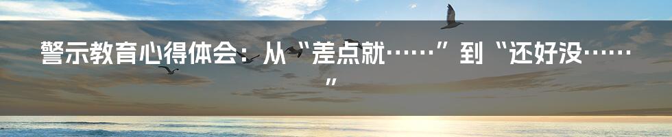警示教育心得体会：从“差点就……”到“还好没……”