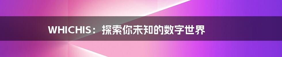 WHICHIS:探索你未知的数字世界
