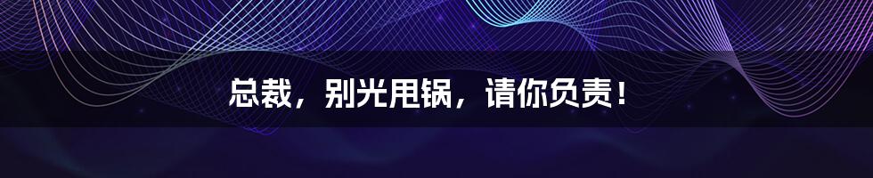 总裁，别光甩锅，请你负责！