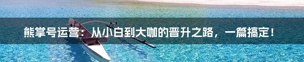 熊掌号运营:从小白到大咖的晋升之路,一篇搞定!
