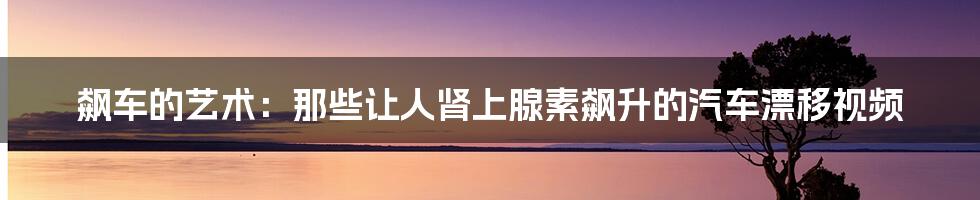 飙车的艺术:那些让人肾上腺素飙升的汽车漂移视频
