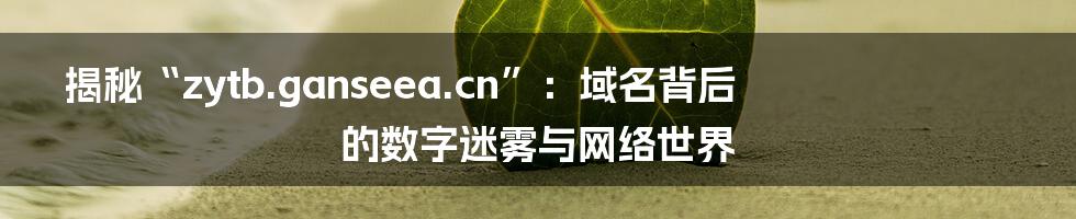 揭秘“zytb.ganseea.cn”：域名背后的数字迷雾与网络世界