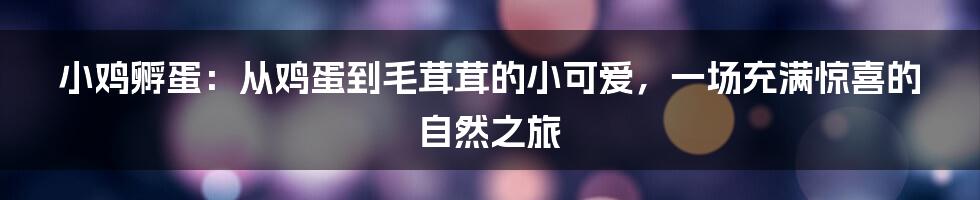 小鸡孵蛋：从鸡蛋到毛茸茸的小可爱，一场充满惊喜的自然之旅
