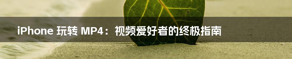 iPhone 玩转 MP4：视频爱好者的终极指南