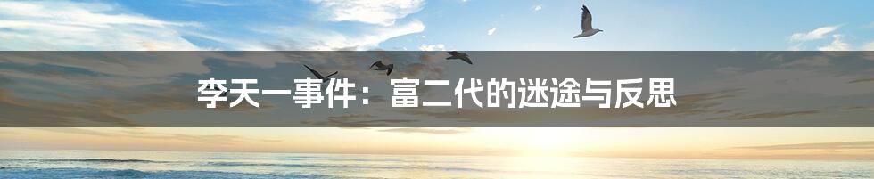 李天一事件：富二代的迷途与反思