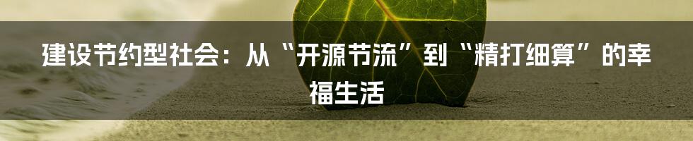 建设节约型社会:从“开源节流”到“精打细算”的幸福生活