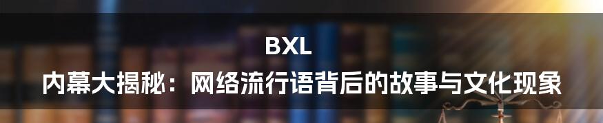 BXL 内幕大揭秘:网络流行语背后的故事与文化现象