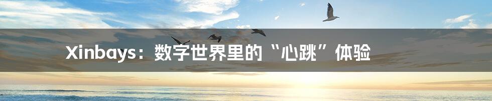 Xinbays:数字世界里的“心跳”体验