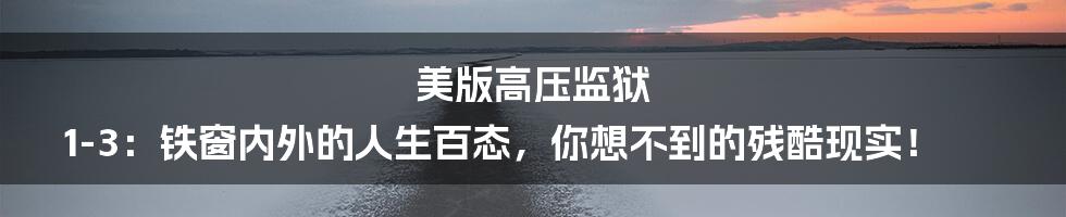 美版高压监狱 1-3:铁窗内外的人生百态,你想不到的残酷现实!