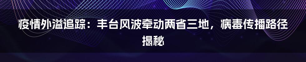 疫情外溢追踪:丰台风波牵动两省三地,病毒传播路径揭秘