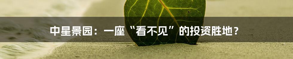 中星景园:一座“看不见”的投资胜地?