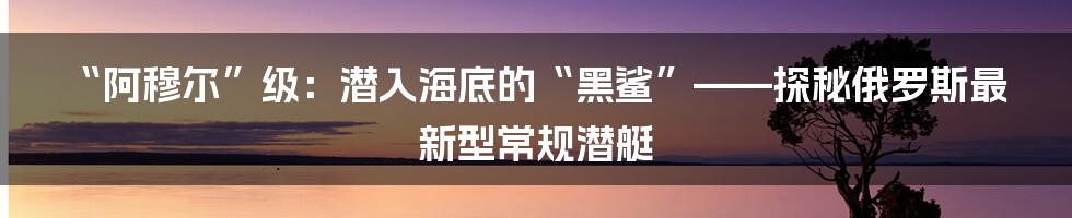 “阿穆尔”级:潜入海底的“黑鲨”——探秘俄罗斯最新型常规潜艇