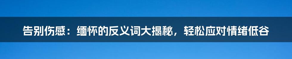 告别伤感:缅怀的反义词大揭秘,轻松应对情绪低谷