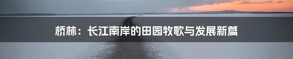 桥林:长江南岸的田园牧歌与发展新篇