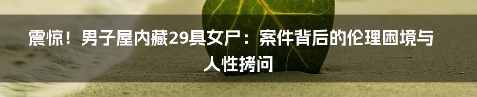 震惊!男子屋内藏29具女尸:案件背后的伦理困境与人性拷问