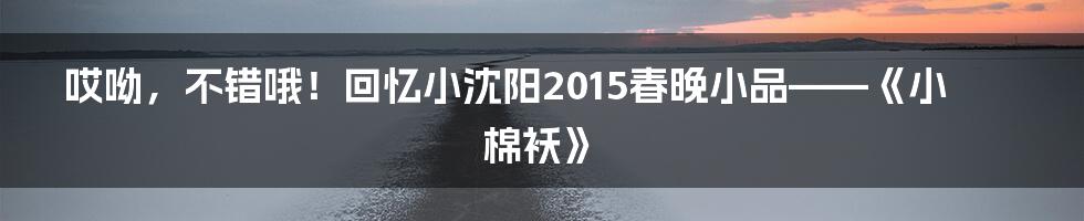哎呦,不错哦!回忆小沈阳2015春晚小品——《小棉袄》