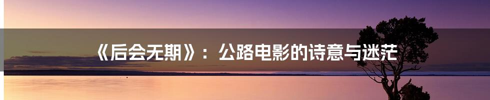 《后会无期》:公路电影的诗意与迷茫