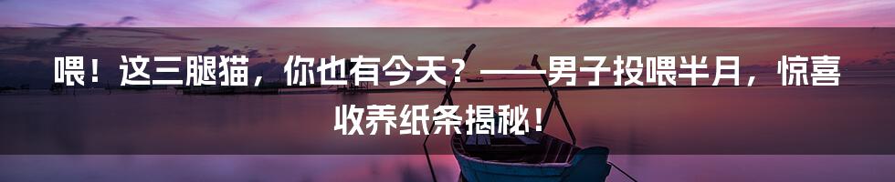 喂！这三腿猫，你也有今天？——男子投喂半月，惊喜收养纸条揭秘！