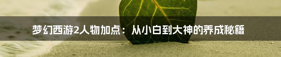 梦幻西游2人物加点:从小白到大神的养成秘籍