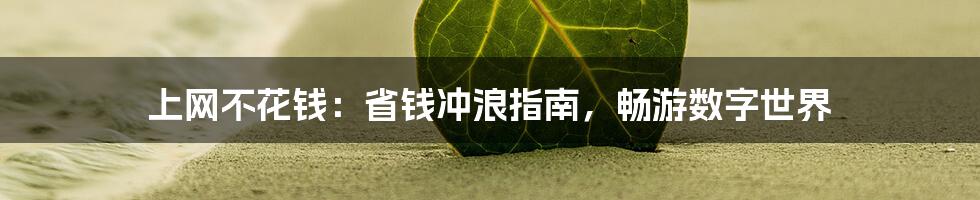 上网不花钱：省钱冲浪指南，畅游数字世界