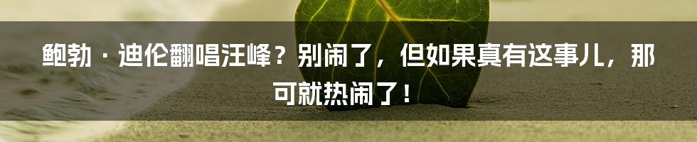 鲍勃·迪伦翻唱汪峰?别闹了,但如果真有这事儿,那可就热闹了!