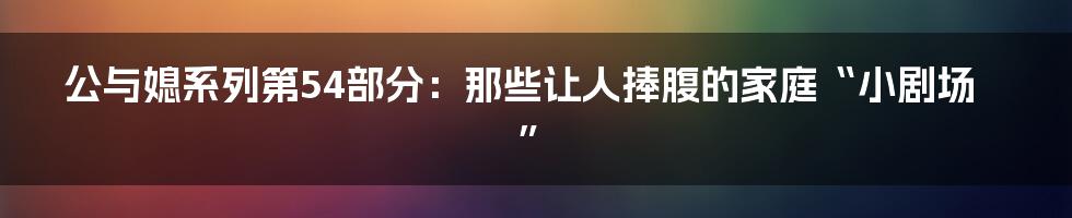 公与媳系列第54部分:那些让人捧腹的家庭“小剧场”