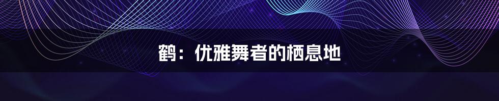 鹤:优雅舞者的栖息地