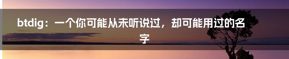 btdig：一个你可能从未听说过，却可能用过的名字