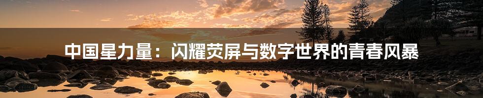 中国星力量：闪耀荧屏与数字世界的青春风暴