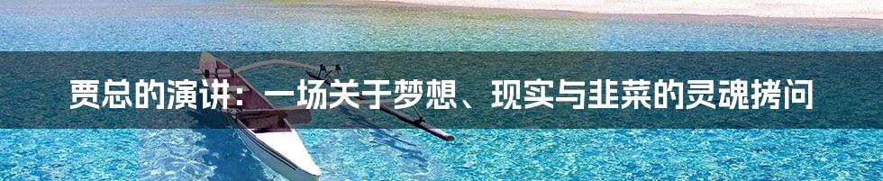 贾总的演讲：一场关于梦想、现实与韭菜的灵魂拷问
