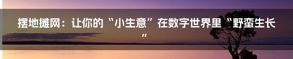 摆地摊网:让你的“小生意”在数字世界里“野蛮生长”
