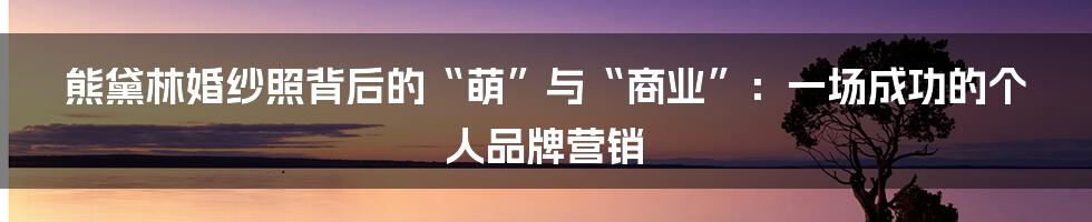 熊黛林婚纱照背后的“萌”与“商业”:一场成功的个人品牌营销