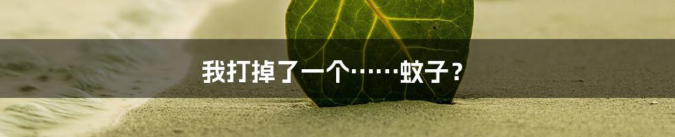 我打掉了一个……蚊子？