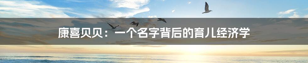 康喜贝贝：一个名字背后的育儿经济学