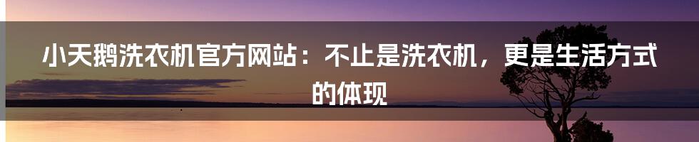 小天鹅洗衣机官方网站：不止是洗衣机，更是生活方式的体现