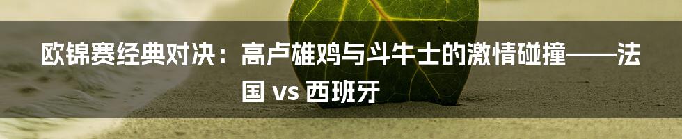 欧锦赛经典对决：高卢雄鸡与斗牛士的激情碰撞——法国 vs 西班牙