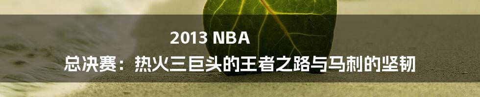 2013 NBA 总决赛：热火三巨头的王者之路与马刺的坚韧