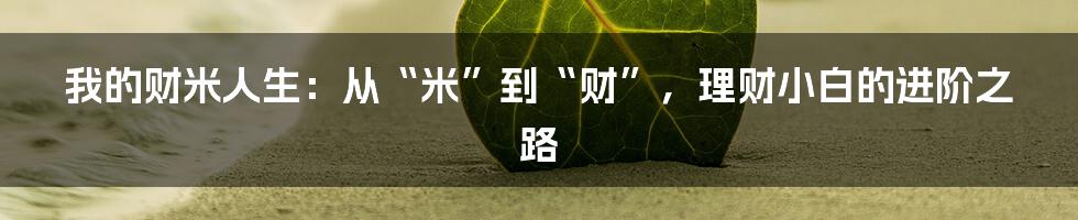 我的财米人生:从“米”到“财”,理财小白的进阶之路