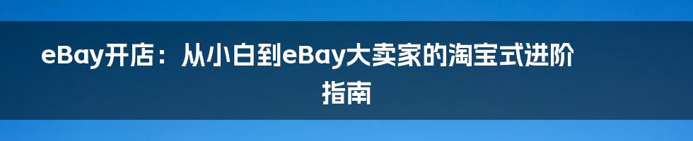 eBay开店：从小白到eBay大卖家的淘宝式进阶指南