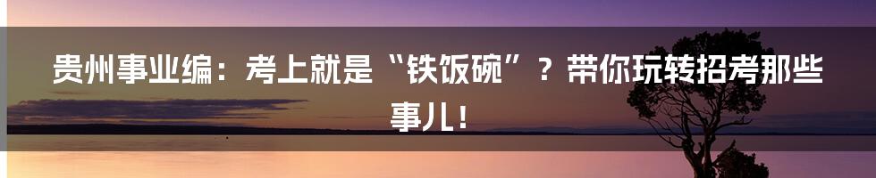 贵州事业编:考上就是“铁饭碗”?带你玩转招考那些事儿!