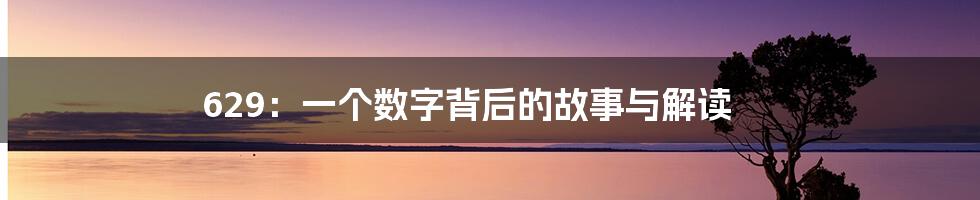 629：一个数字背后的故事与解读