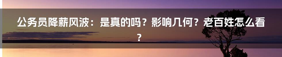 公务员降薪风波:是真的吗?影响几何?老百姓怎么看?