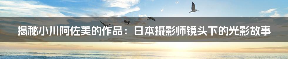 揭秘小川阿佐美的作品:日本摄影师镜头下的光影故事